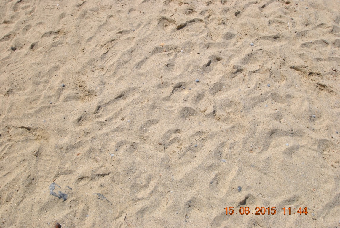 imagini hotel PINE BAY KUSADASI